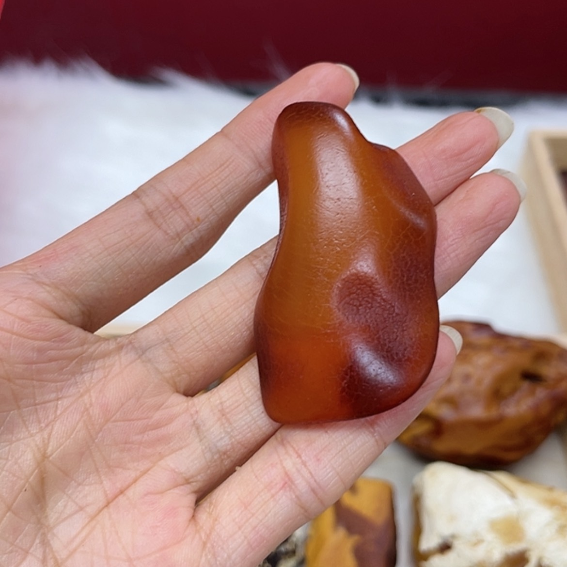 【闪购商品】琥珀珠宝奇石未镶嵌十**堂