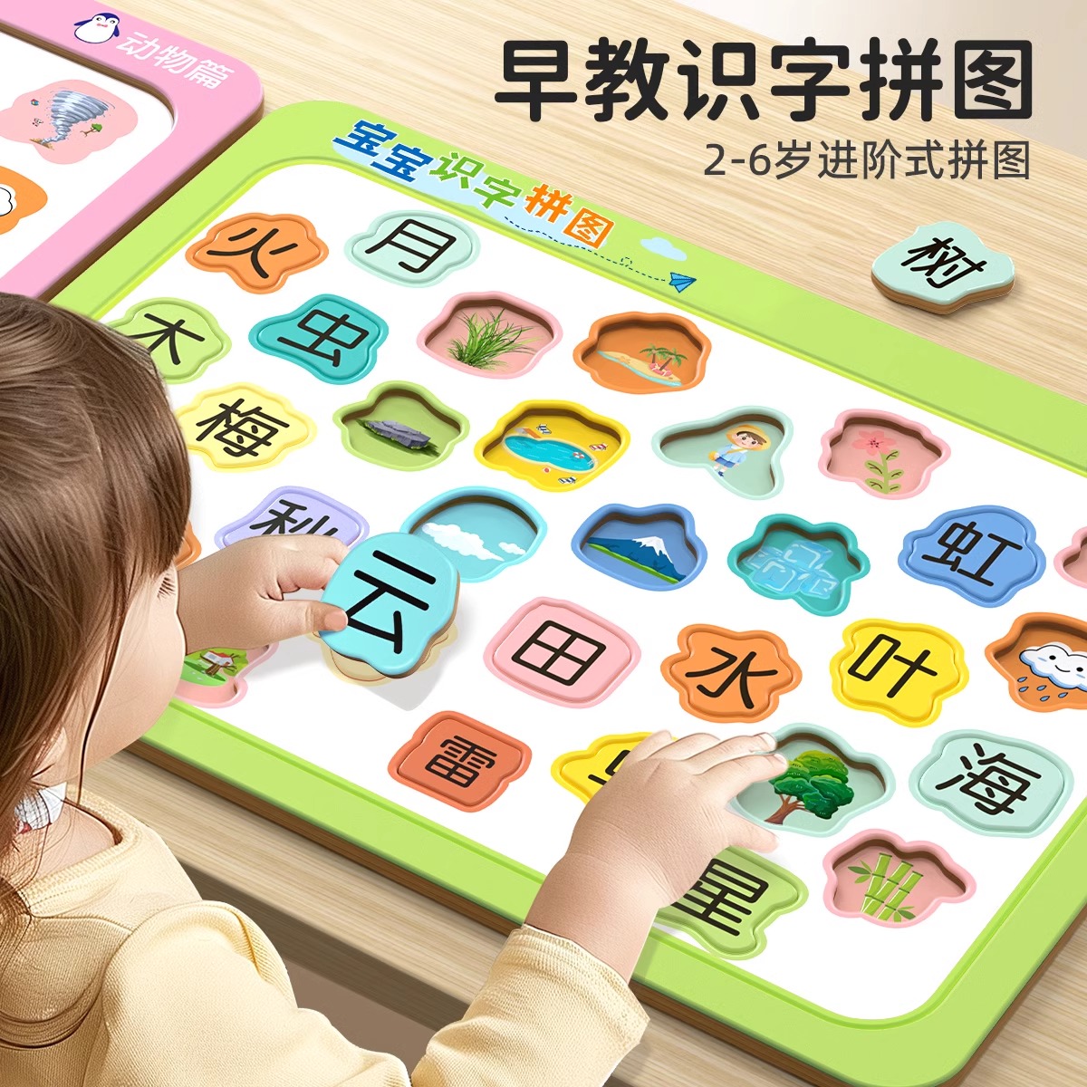 宝宝识字拼图幼儿园2到3-6岁卡片学前专注力早教平图儿童益智玩具