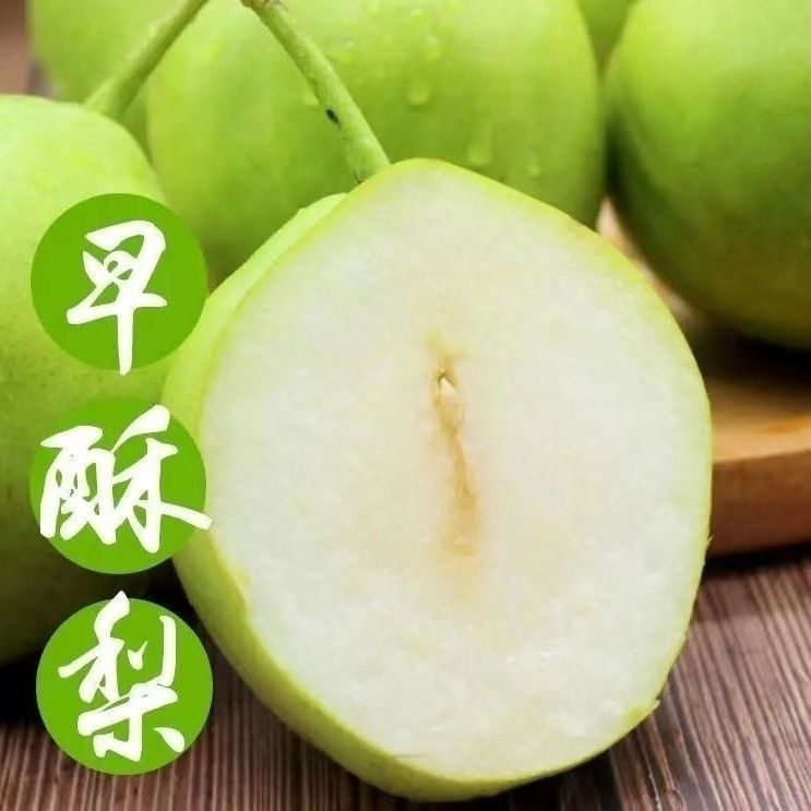 小渝妈妈家自己种的早酥梨海南包邮净重8.5斤装