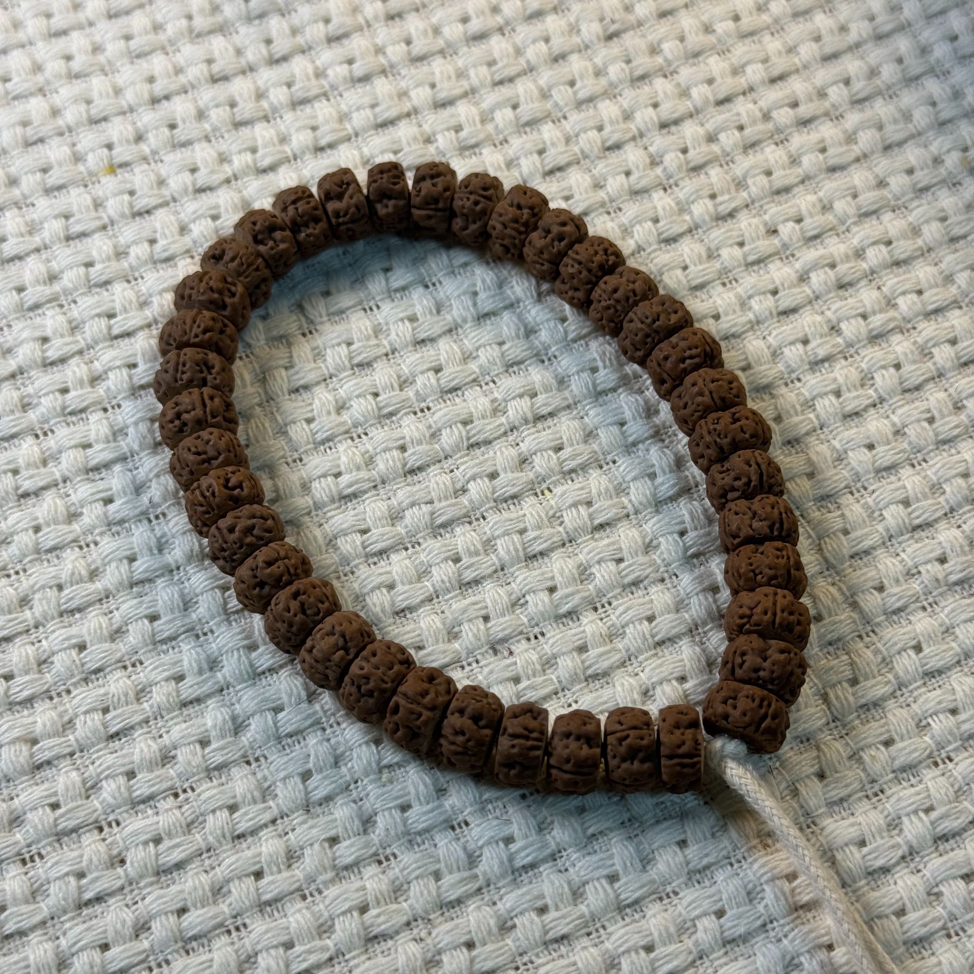 勿里达藏切四瓣老树王