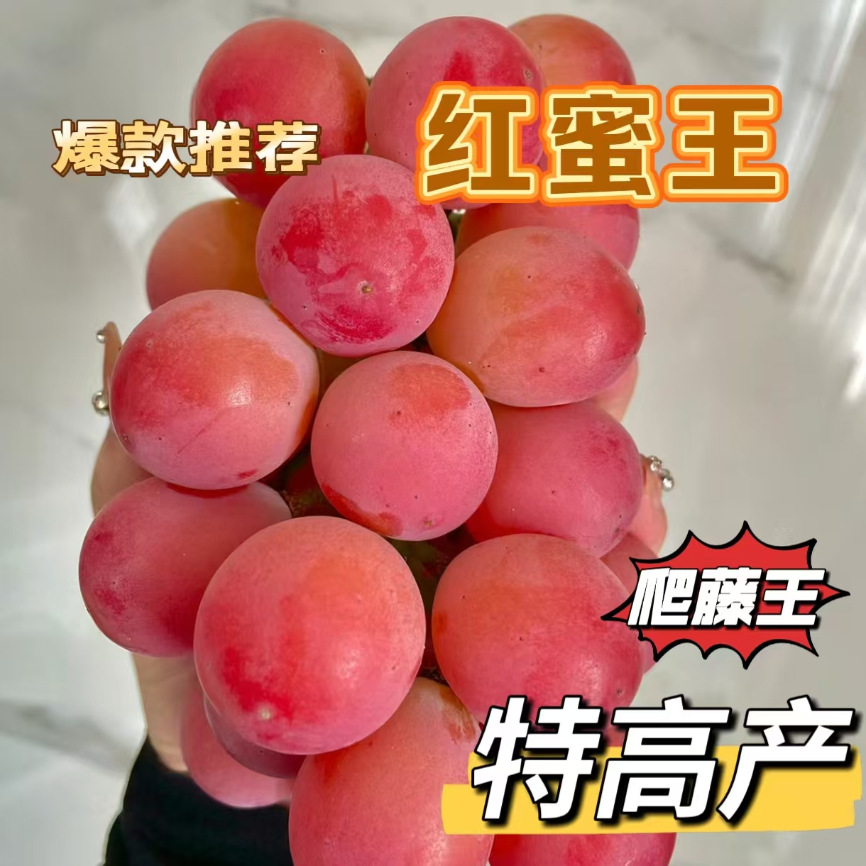 买一送一，爬藤王红蜜王葡萄树苗，超大果个特高产，纯甜无酸香味浓