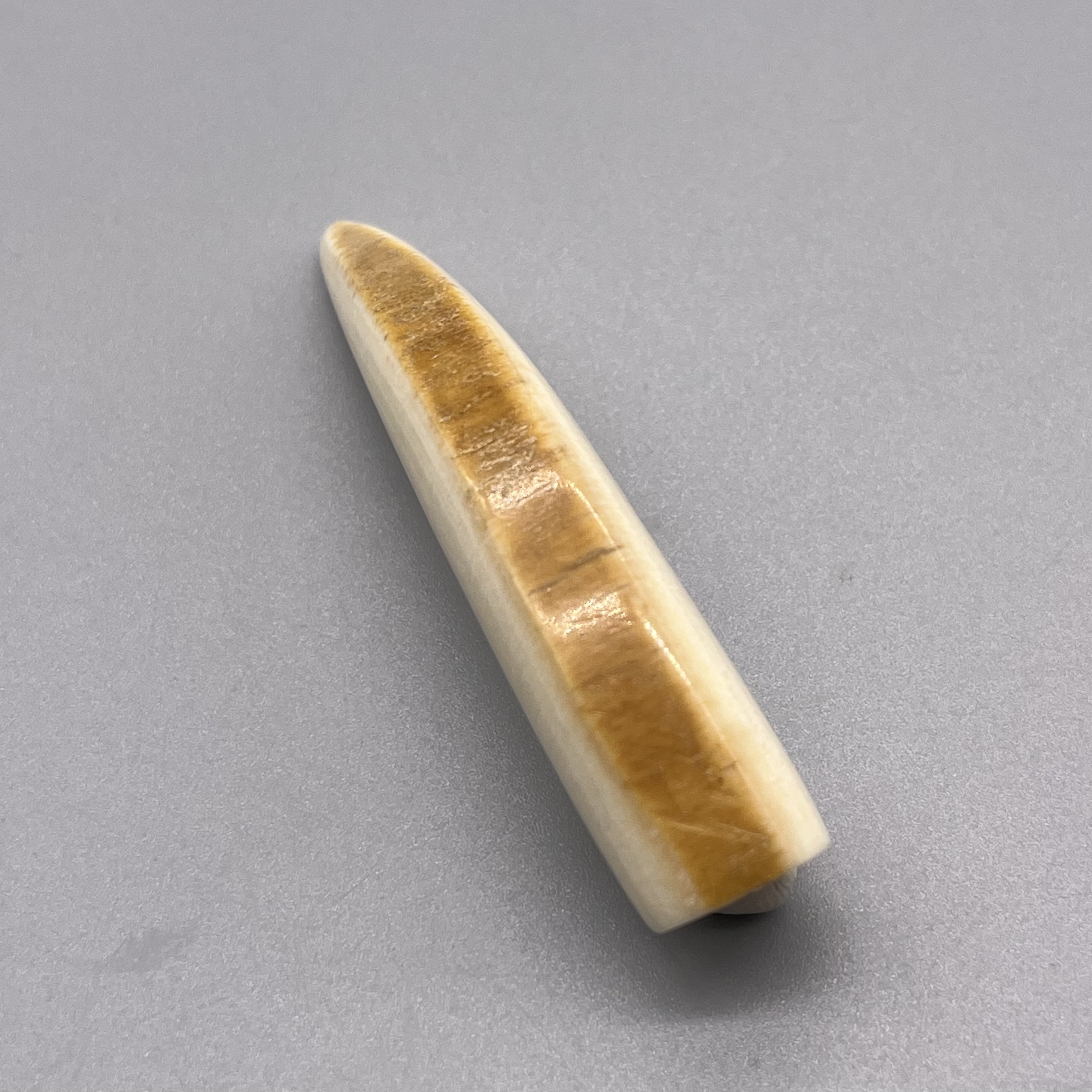 J022上古冰川猛犸象牙带皮牙尖吊坠配饰DIY白冰料