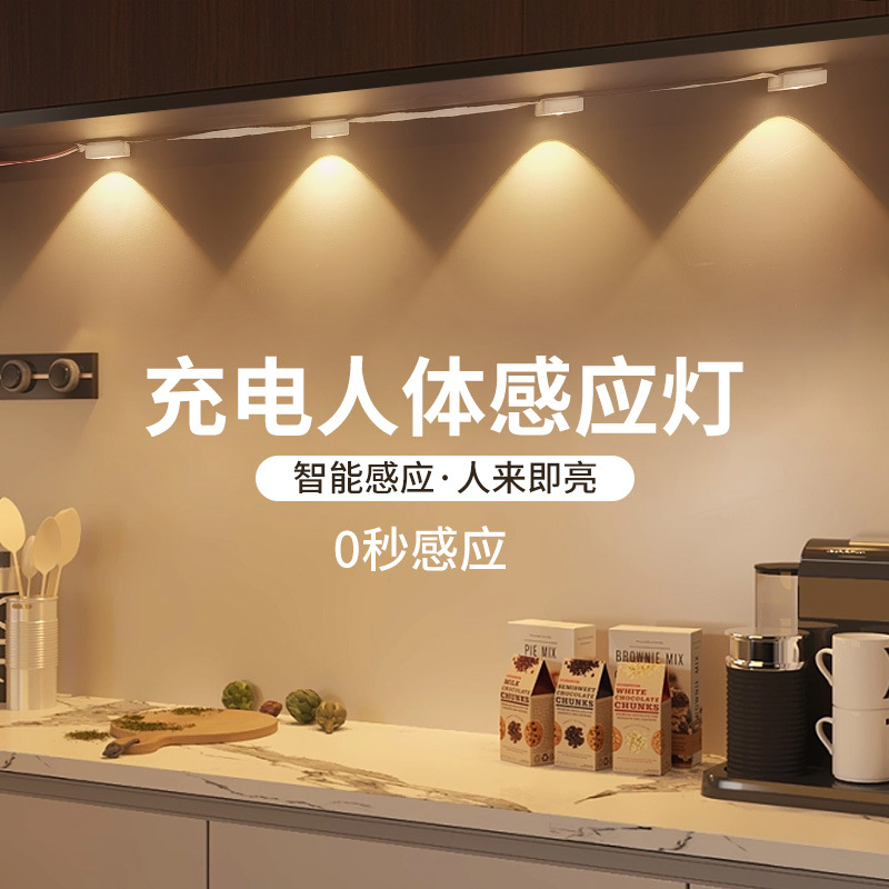 多条大金额专属链接led人体感应灯