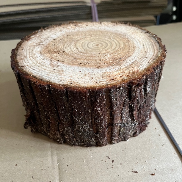 石斛专用木桩，大号直径13-15cm