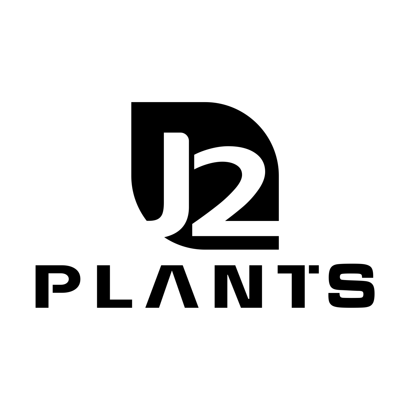 一物一拍 专用 精品盆景