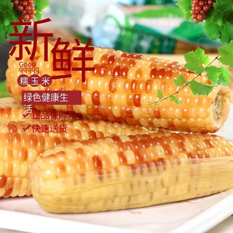 东北花糯玉米，真空包装，220克十根