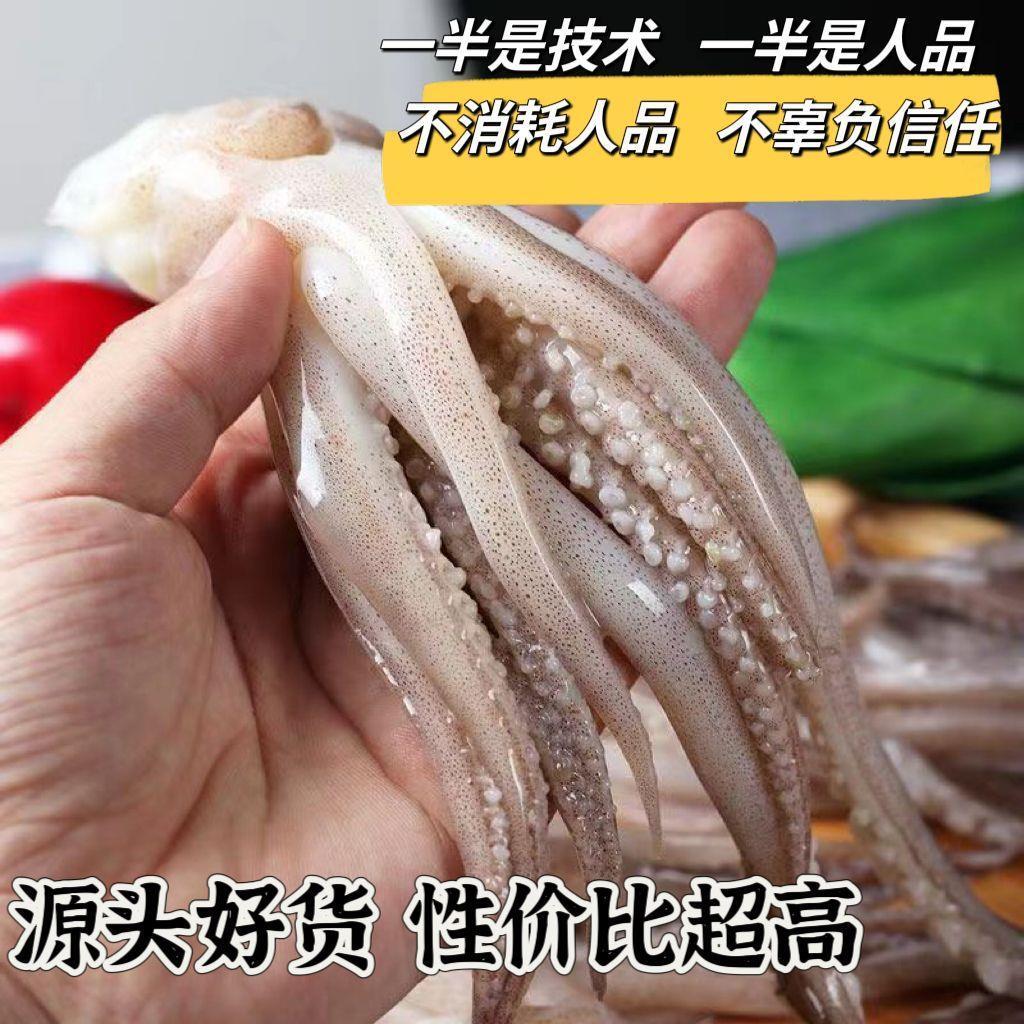 鱿鱼新鲜现切尤鱼鱿鱼须新鲜鱿鱼头商用烧烤二本足冰衣鱿鱼爪批A