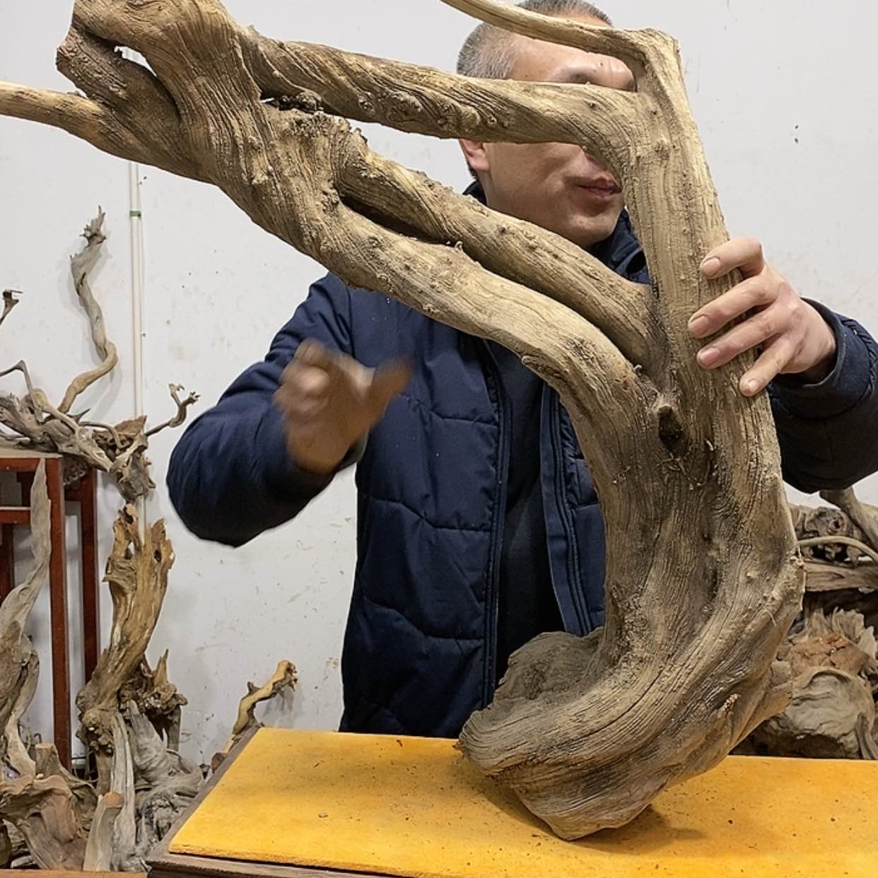 【闪购商品】柏木玩*