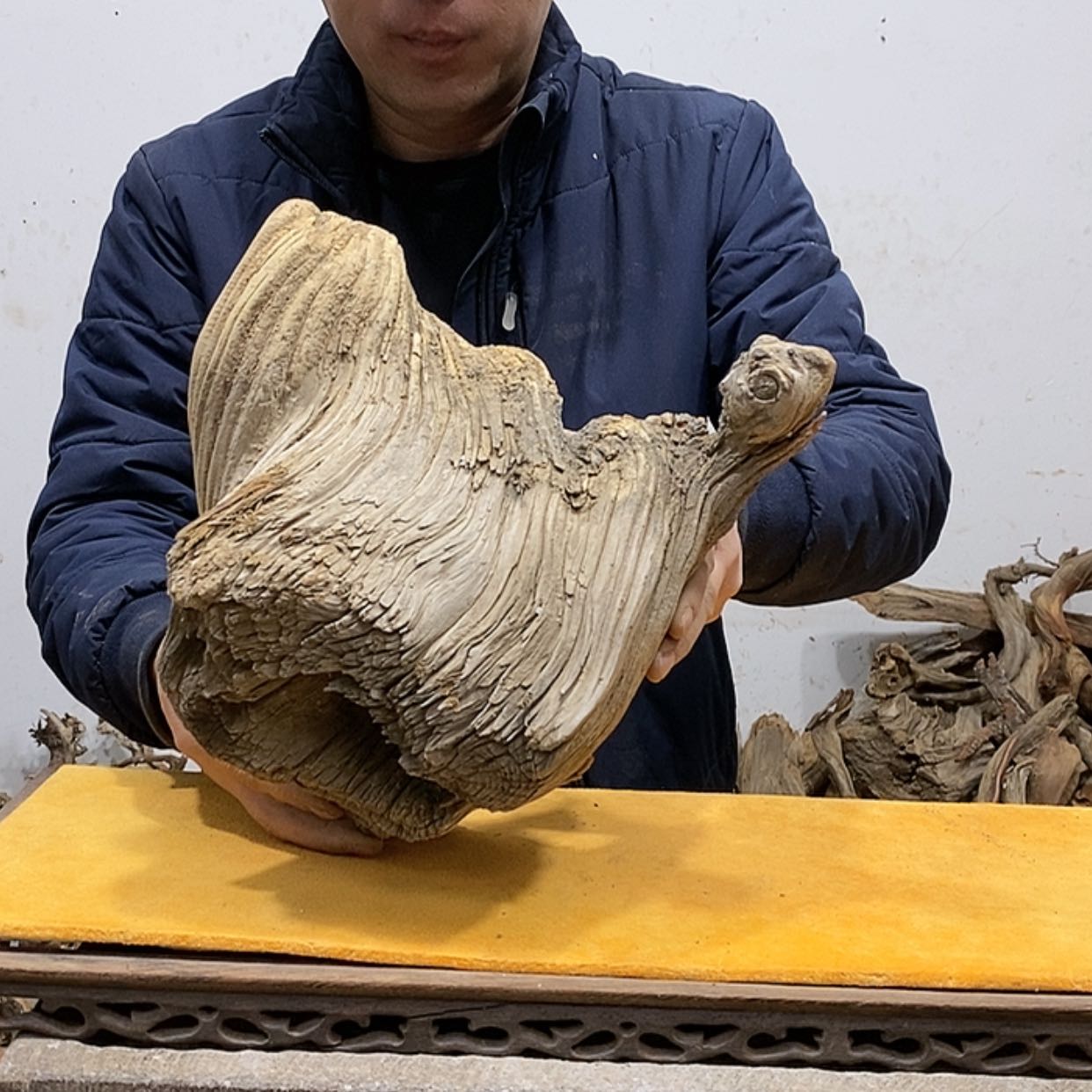 【闪购商品】柏木强