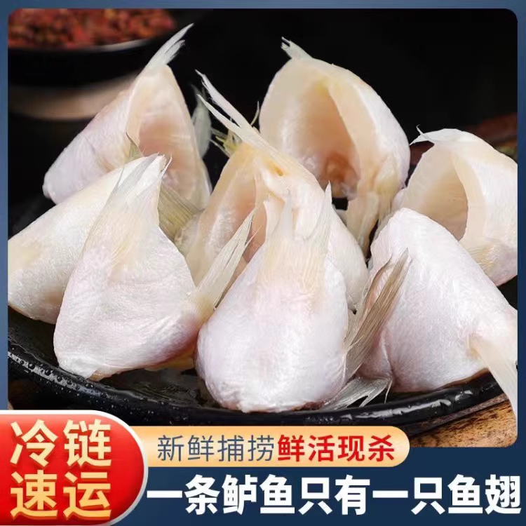 新鲜鲈鱼翅250g/包 深海鱼冷冻鱼鳍速冻海鲜水产