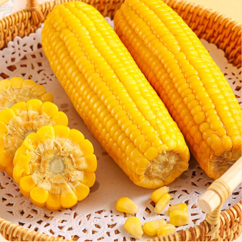 东北黄糯黏玉米200g*10根真空独立代餐黄糯玉米