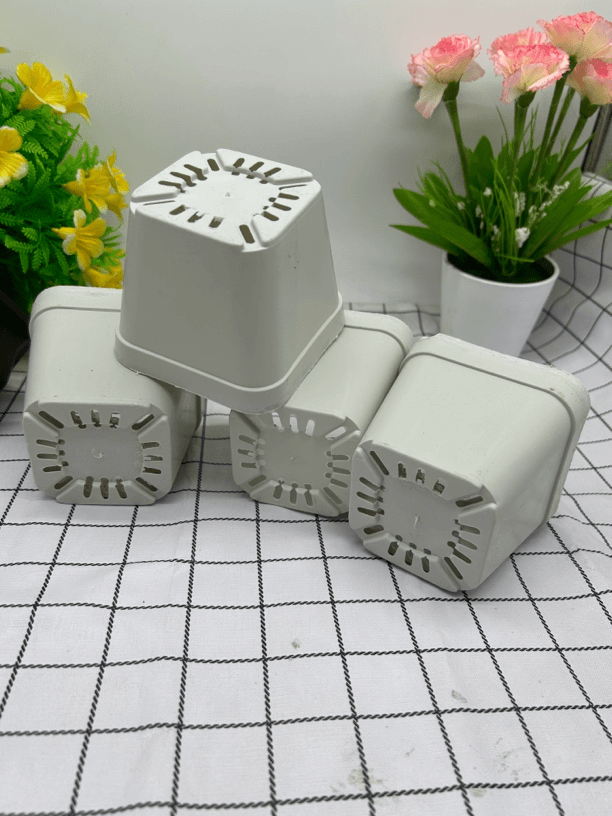 一次性育苗多肉方盆30个《直径10高8.5》