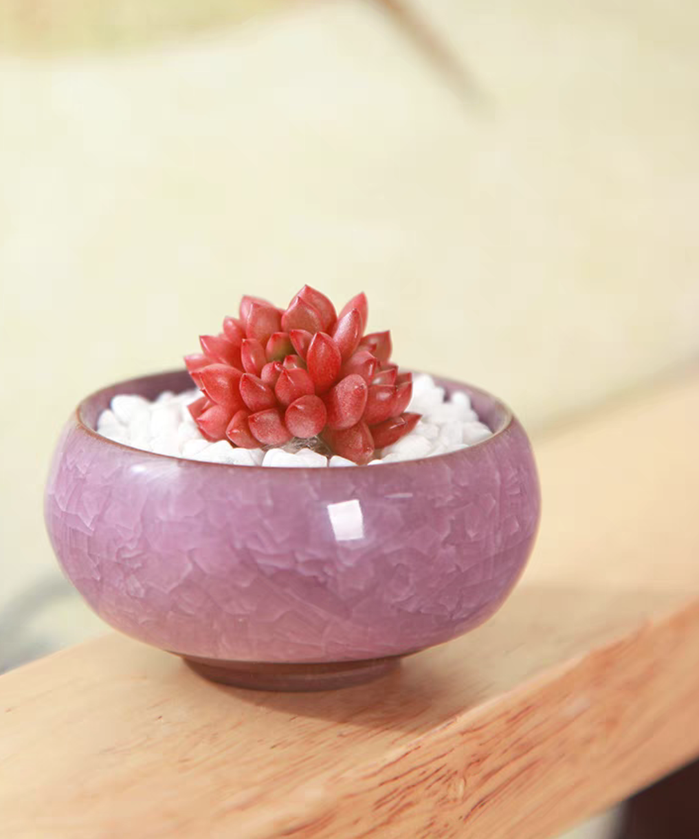 红宝石已直播间为准《满15.8包邮》