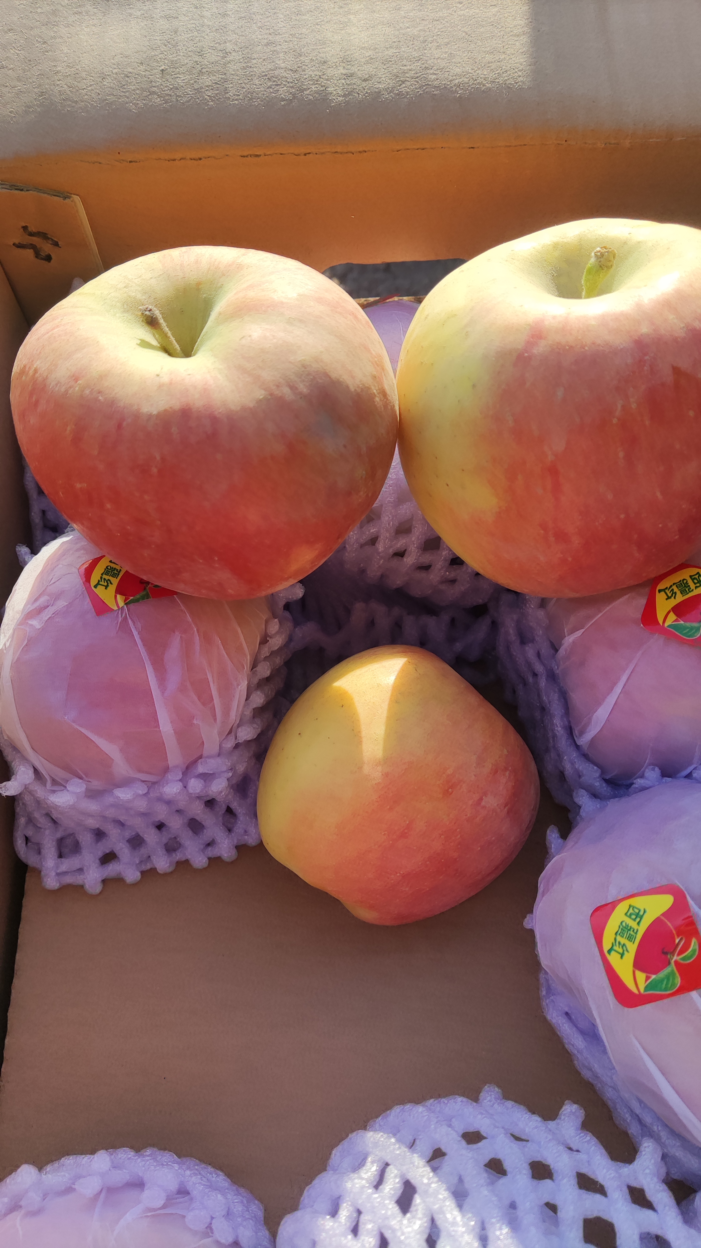 [洪全鲜果]精选新疆阿克苏苹果一箱（10斤左右）