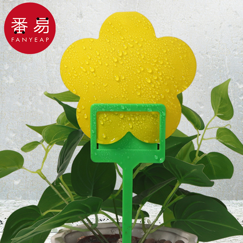 5YJ59粘虫板小黄板家用果蝇诱捕器小黑飞粘板沾虫纸双面飞虫诱虫