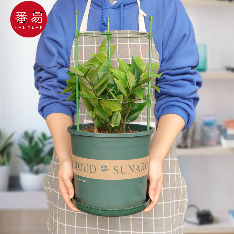 花支架月季花架绿萝铁线莲攀爬架植物花卉护叶架室内园艺爬藤架子