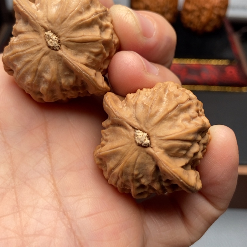 【闪购商品】文玩核桃把件不***5