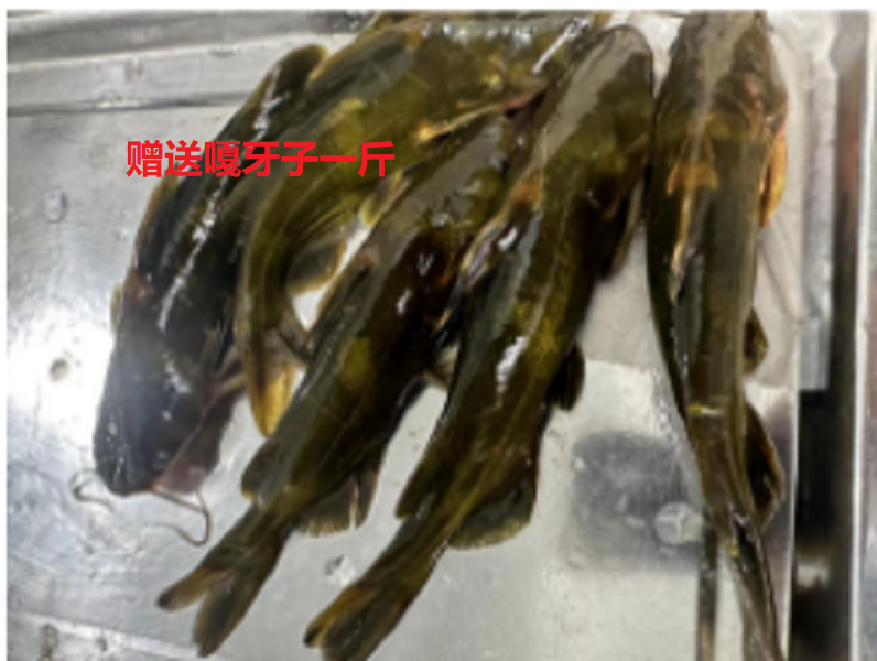 赠嘎牙子一斤