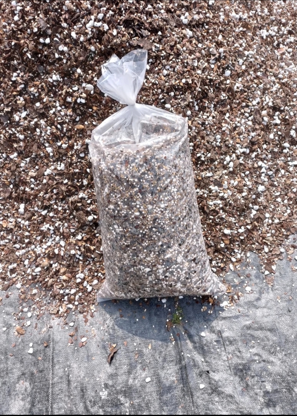 兰花专用种直播植质料改价链接