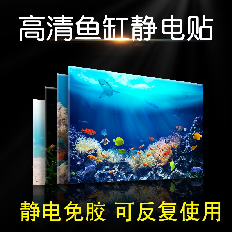 3D水族箱海景壁纸客厅鱼缸背景贴纸鲨鱼乌龟缸造景静电贴高清自粘