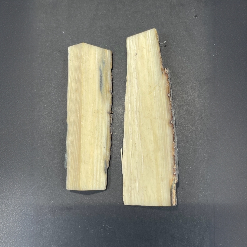 Hx天然猛犸牙，保真（直播间专用链接）