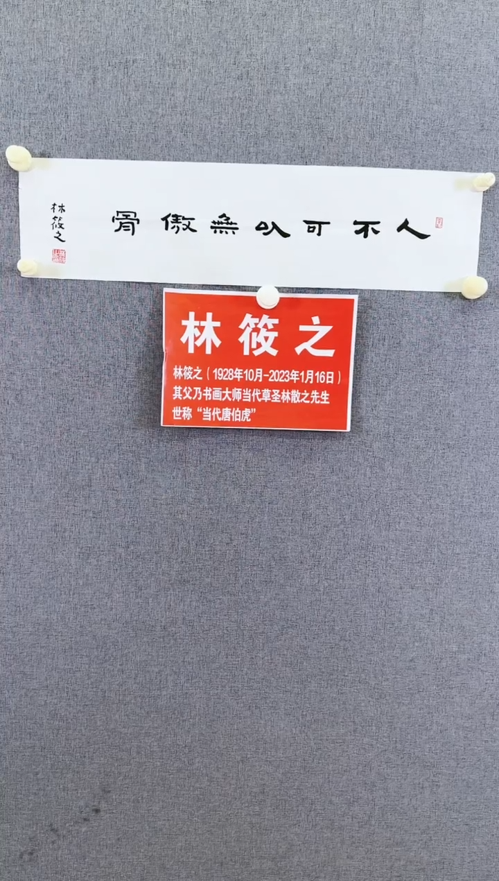 【闪购商品】书法林筱之人不可