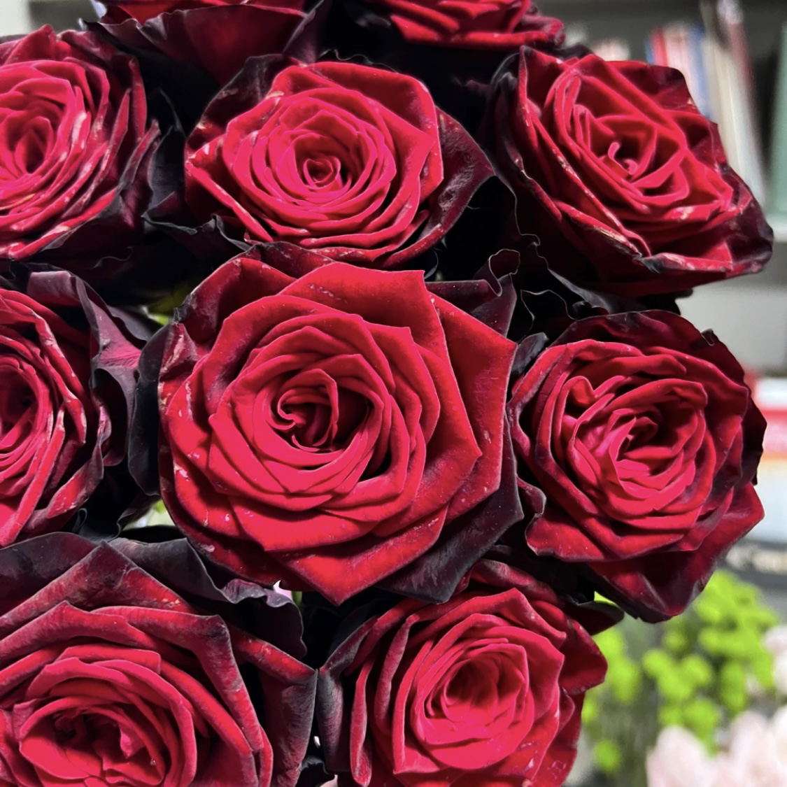 黑金-单头玫瑰（任意两单包邮，一单需要补运费）