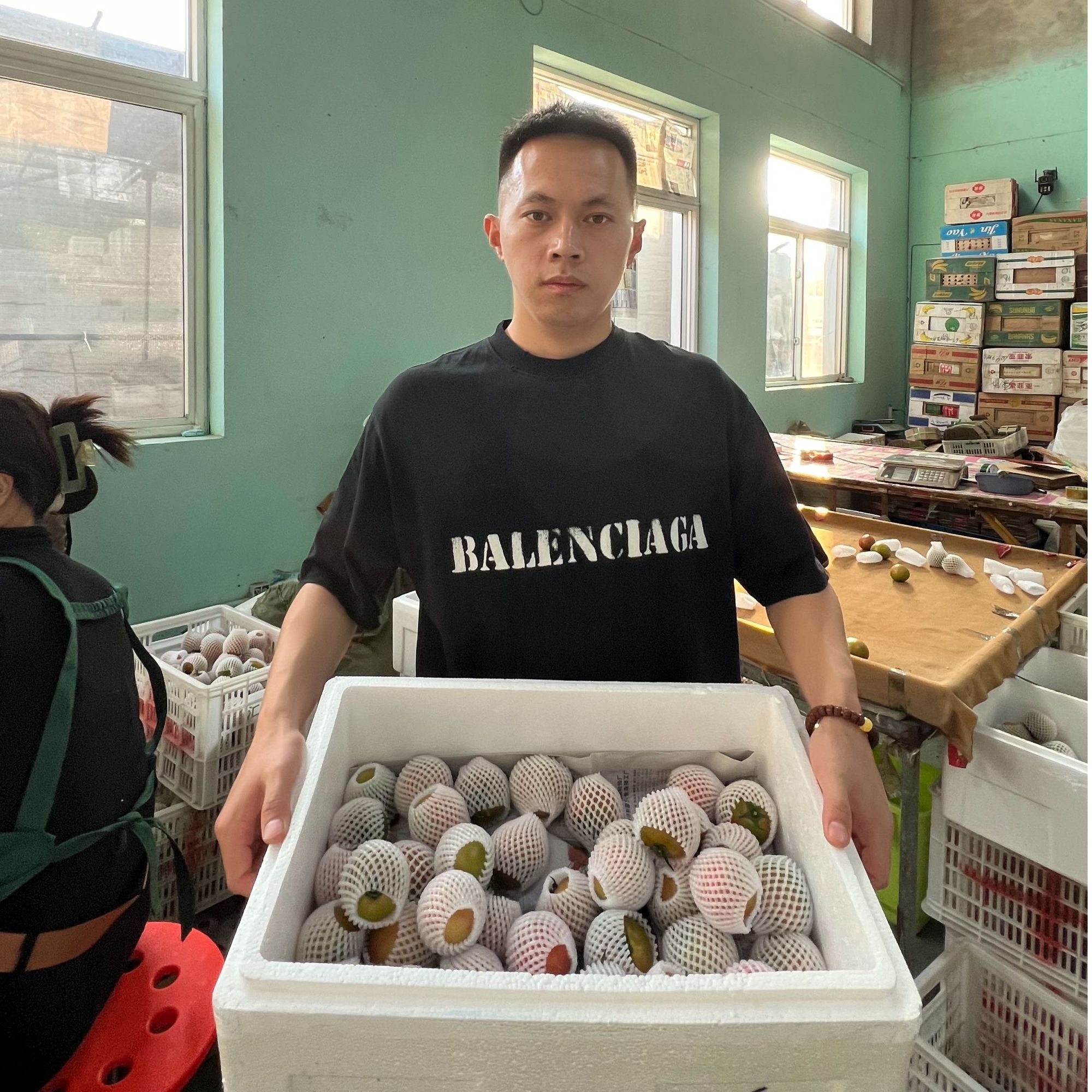 盘锦碱地柿子 顺丰包邮