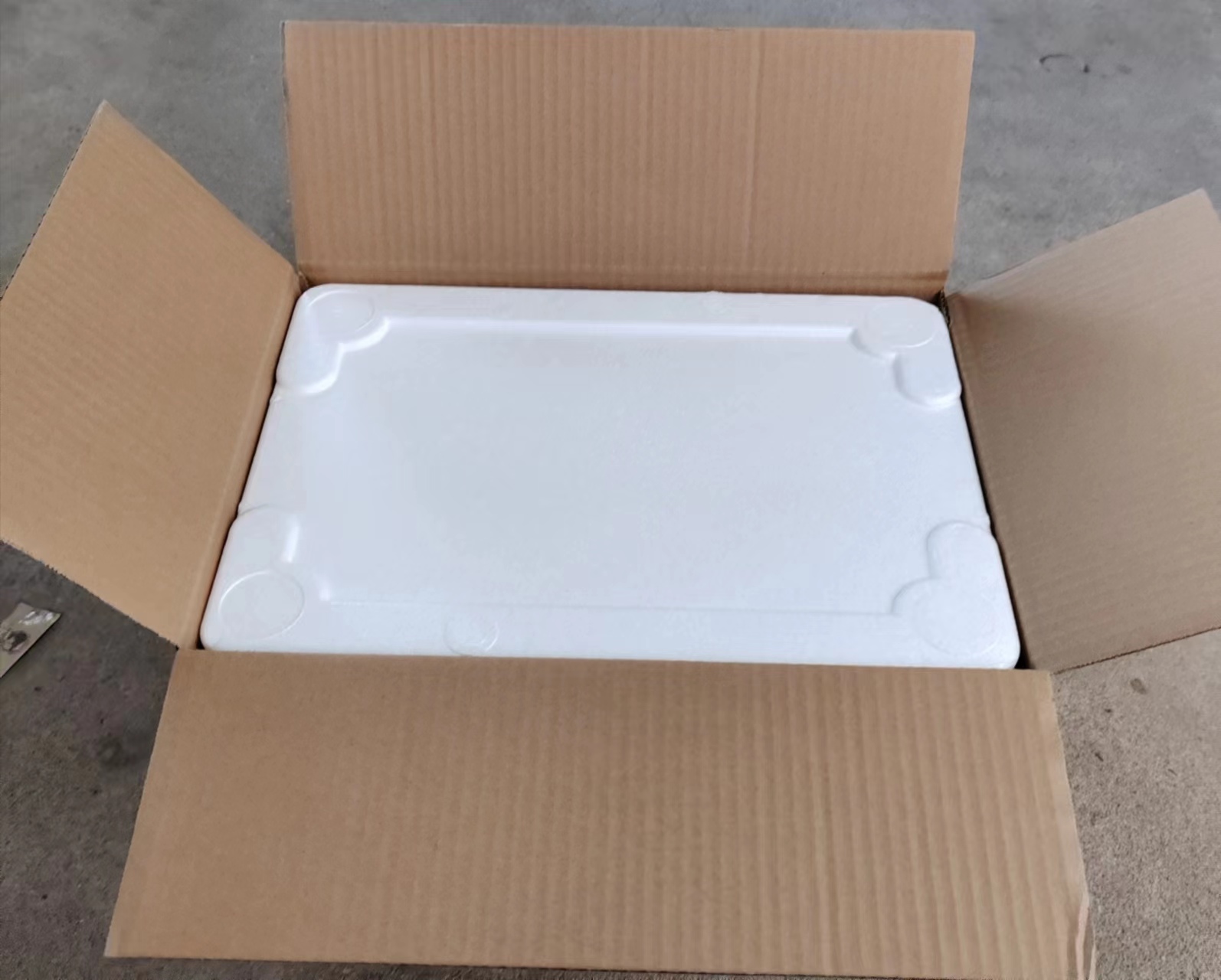 泰狮金鱼活体运输运费拍下包邮顺丰快递--省内