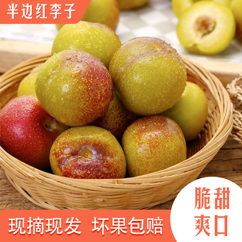 云南绥江半边红李子脆甜新鲜坏果包赔4.5斤包邮【冷藏后更好吃】