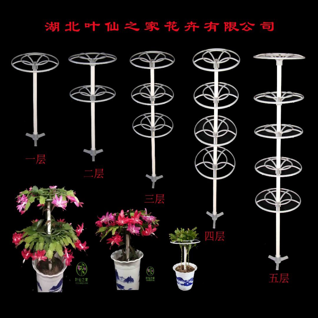 重瓣太阳花 蟹爪兰造型棒棒糖支架适合藤蔓类 原创设计