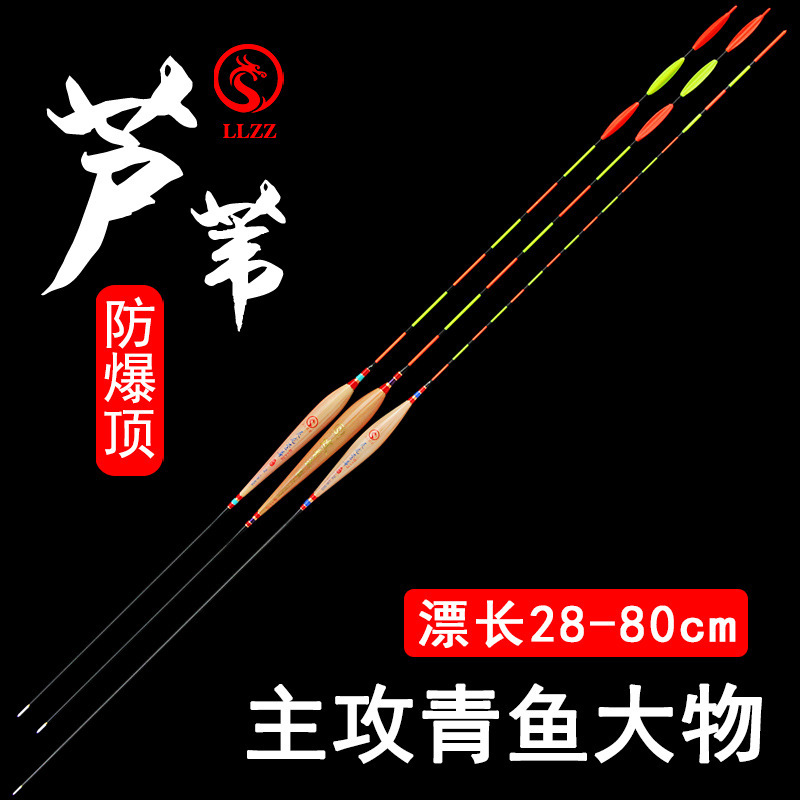 芦苇浮漂黑坑行程漂路滑漂加粗醒目青鱼大物漂防爆顶芦苇漂清晰