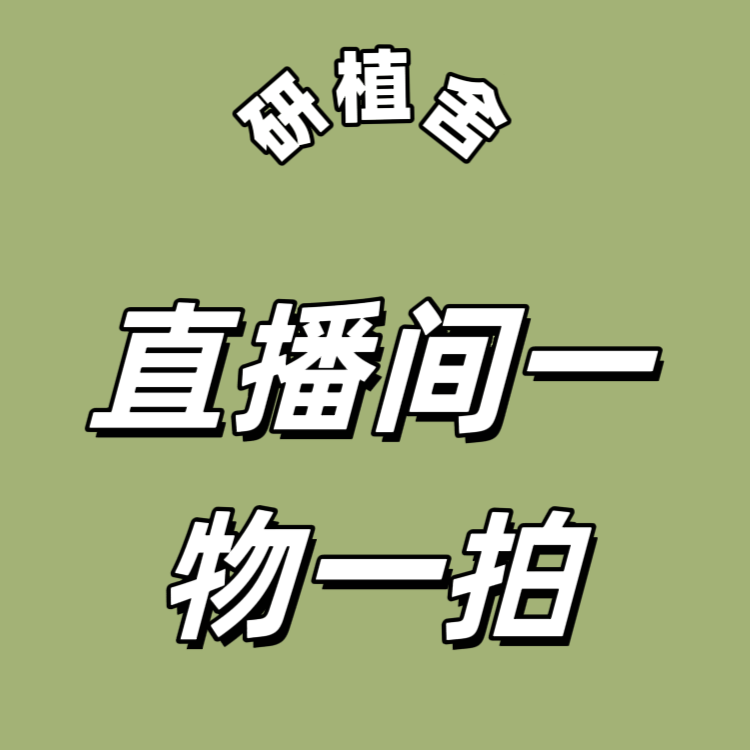 大型绿植直播间一物一拍