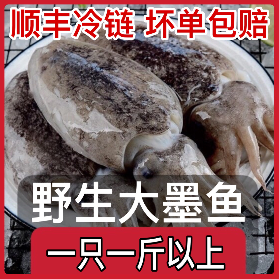 大墨鱼深海墨鱼新鲜目鱼冰鲜大墨鱼乌贼墨斗鱼海鲜批发顺丰包邮