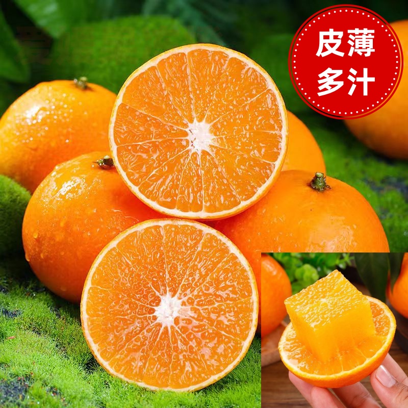 【东方甄选】四川爱媛38号果冻橙爱媛果冻橙套袋果鲜汁水果现摘现发