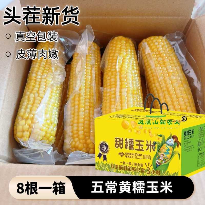 东北黑土地黄糯玉米 24年黏玉米 真空锁鲜独立包装