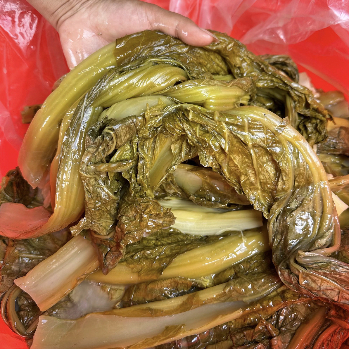 云南镇雄正宗无盐青菜酸菜