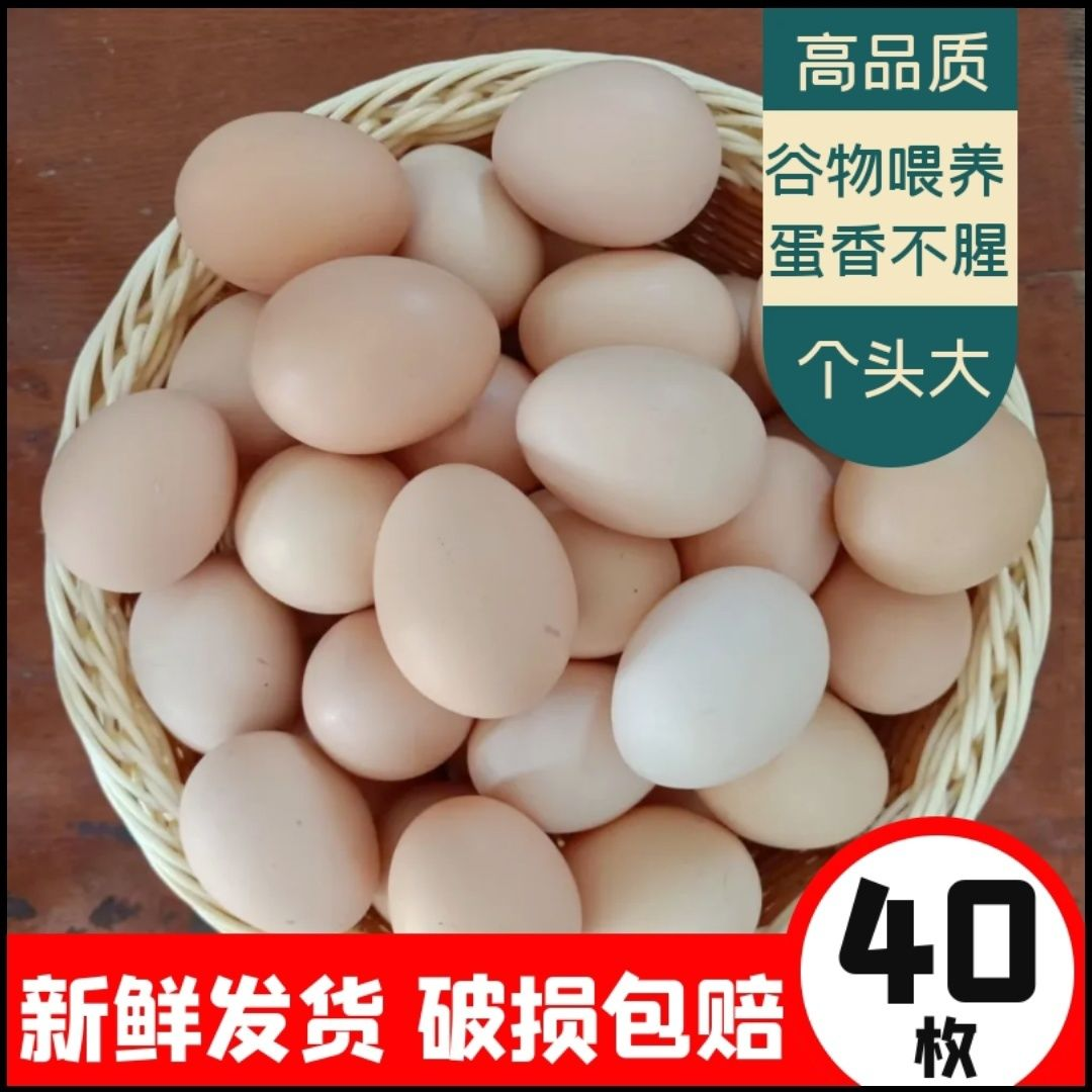 正宗土鸡蛋农家山林10枚/40枚新鲜土鸡蛋整箱散养土鸡蛋天然营养