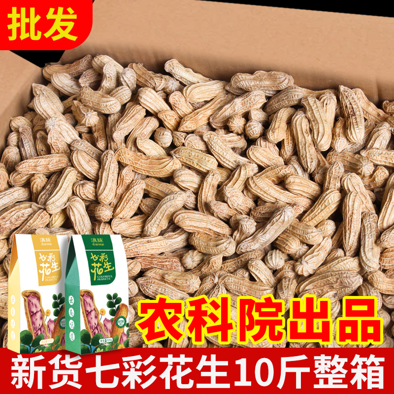 2023新云南七彩花生带壳生的炒熟野地花生孟连特产彩色花生种籽子
