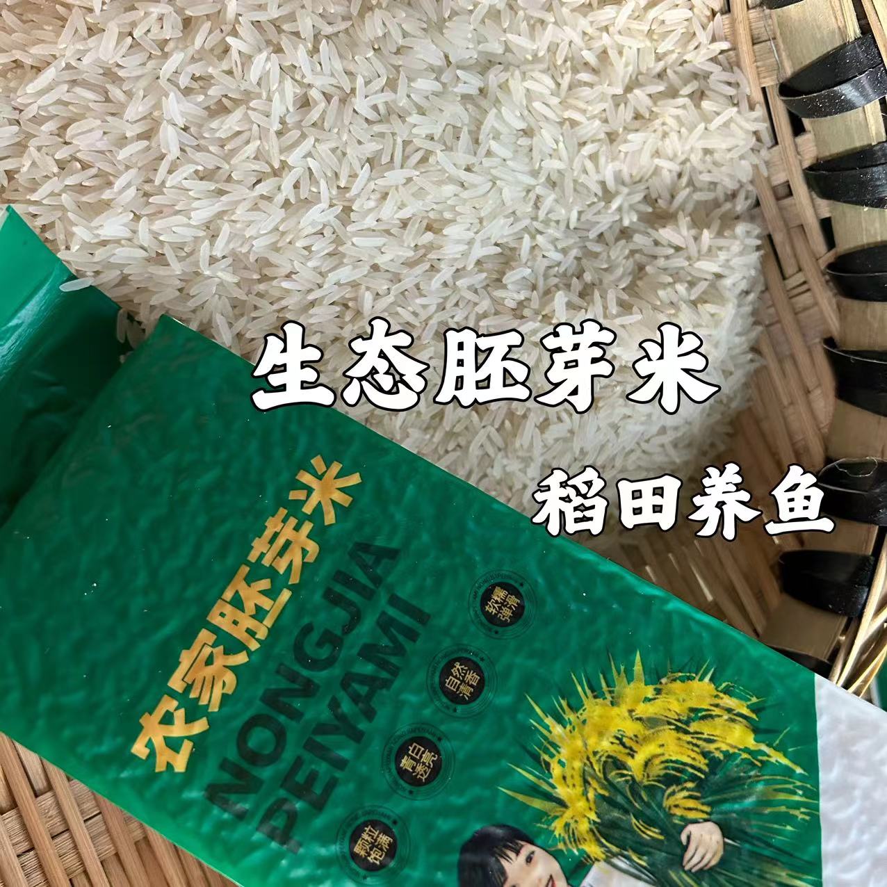 燕麦行游农家胚芽米1斤装