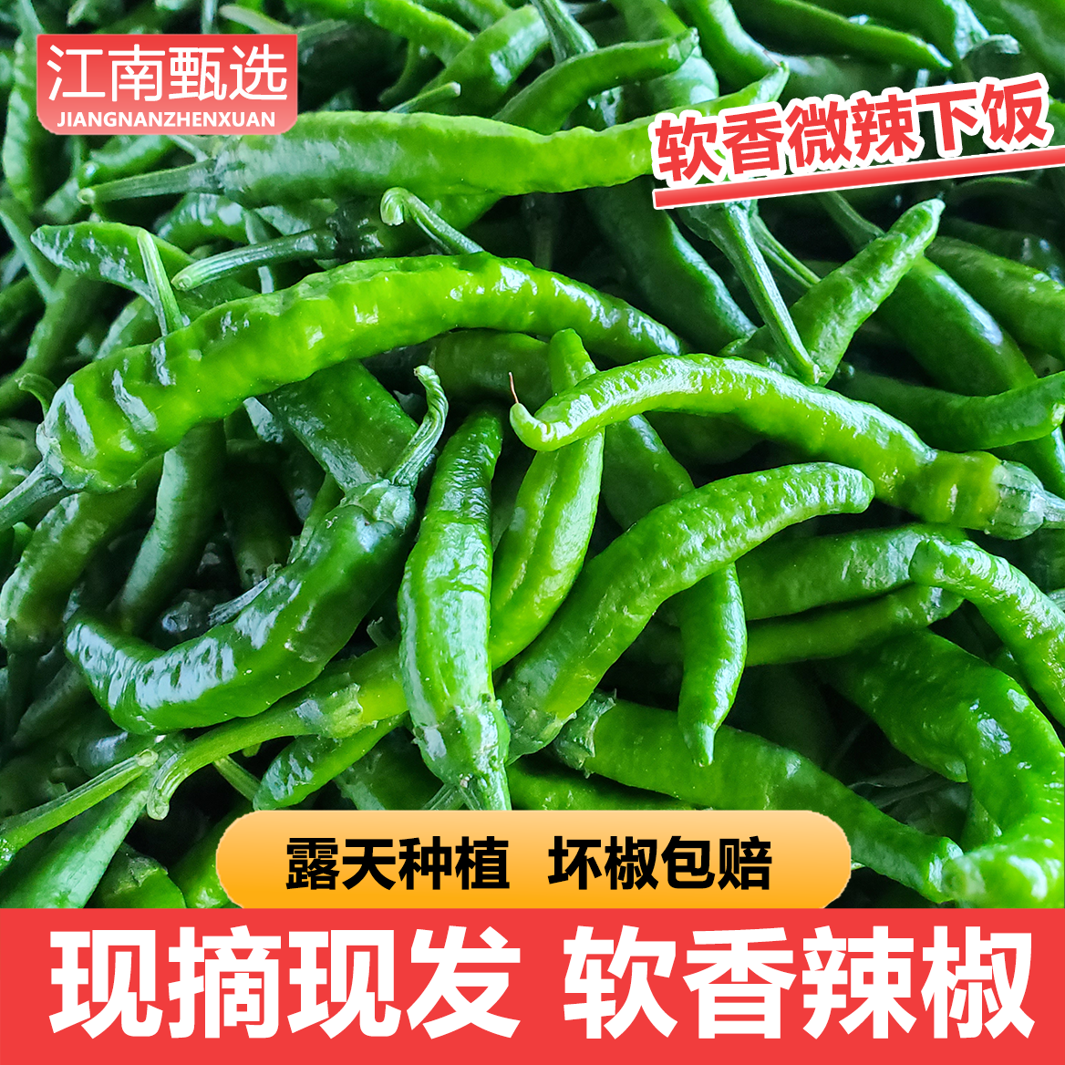 微辣【顺丰发货】樟树小辣椒软香嫩小青椒湖南品种现摘现发露天种植