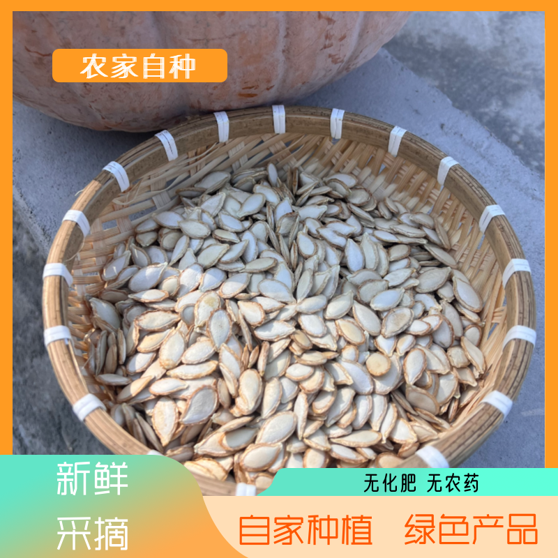 大别山农家自种抖音生南瓜子新鲜300g无农药古法无化肥绿色产品