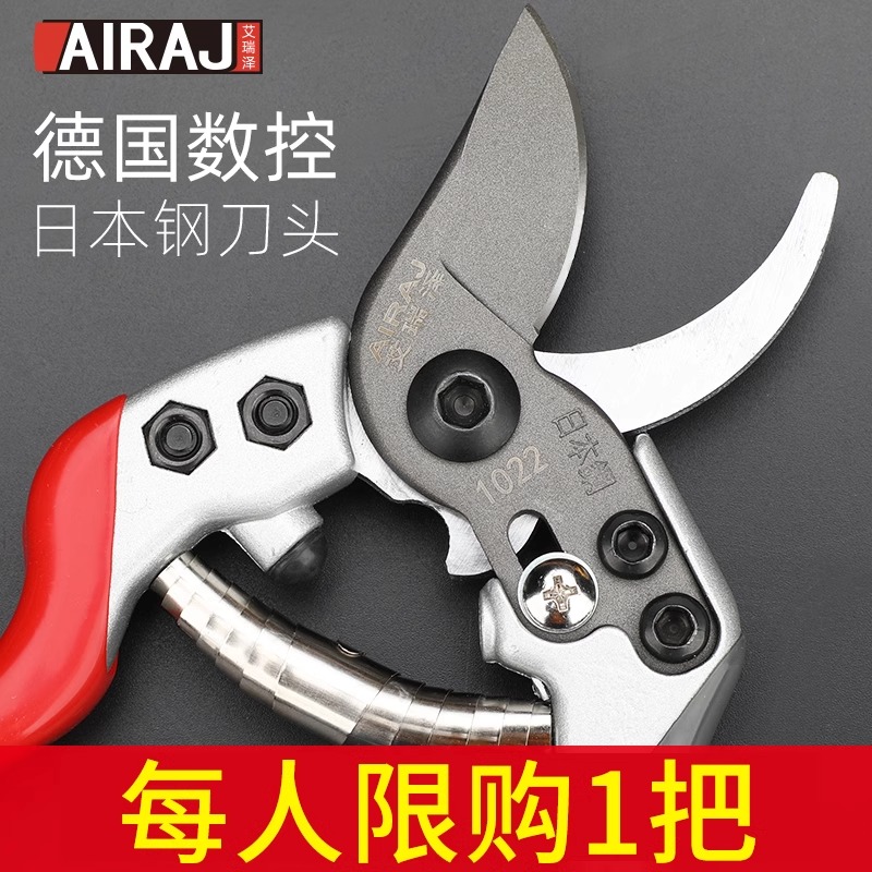 剪枝剪刀日式刀头剪树枝修果树花剪园林园艺修枝剪神器工具