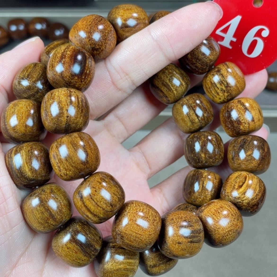 【闪购商品】贡木其他多样性发货发其一