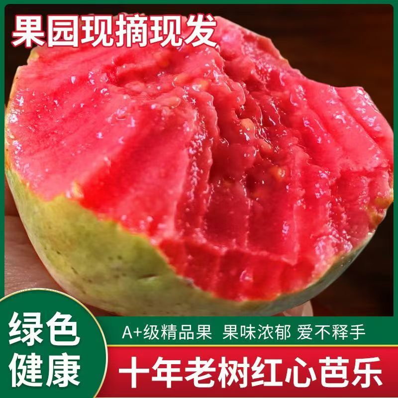 京东顺丰空运包邮海南红心奶油芭乐当季番石榴低糖水果软糯红肉