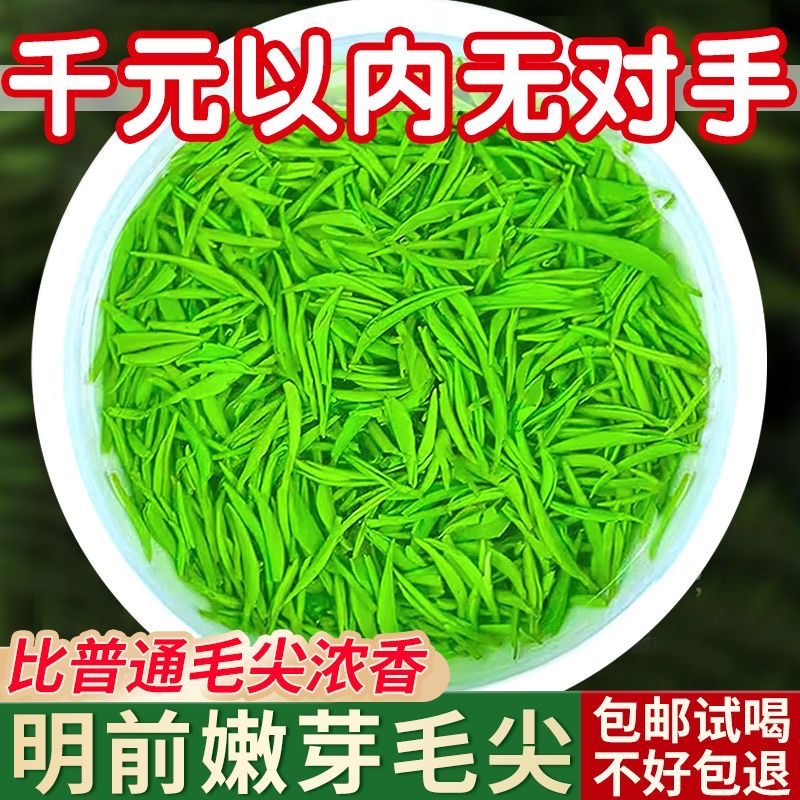 【嫩芽1斤】2025正宗明前特级毛尖茶浓香型信阳高山绿茶叶高档罐装