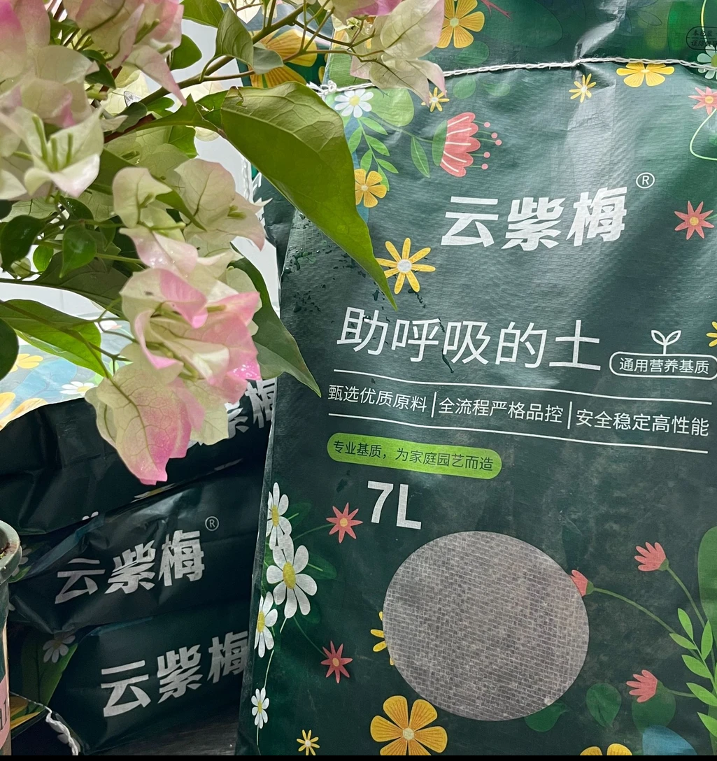 云紫梅三角梅通用营养土