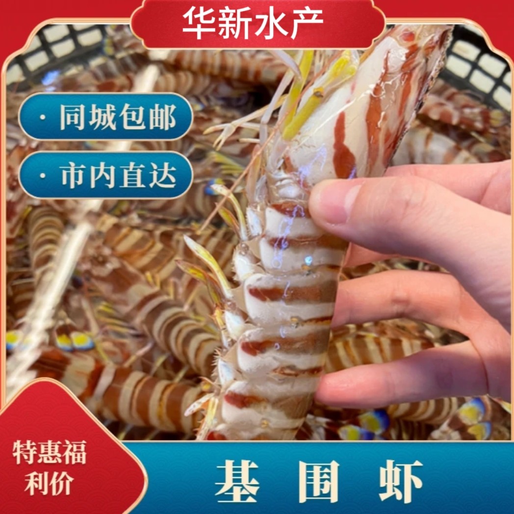 【同城配送】【华新水产】精品特大基围虾 （肉质紧实 肉质鲜甜） 