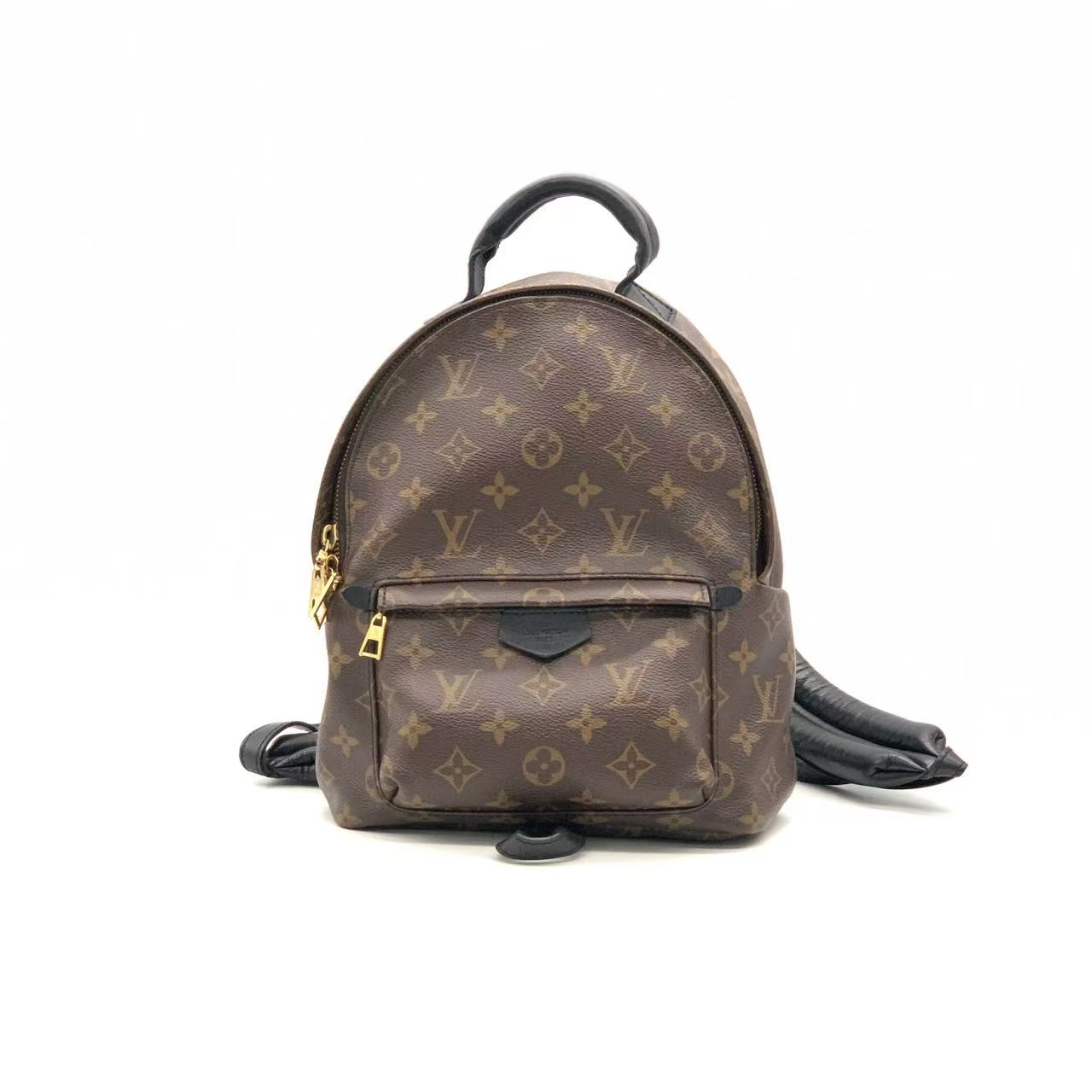 95新 LouisVuitton/路易威登 经典老花小号双肩包/