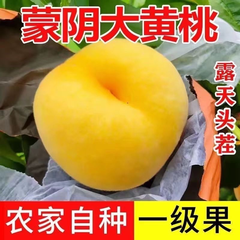 山东正宗大黄桃新鲜水果爆甜桃子黄金蜜桃红心黄桃锦绣黄桃一整箱